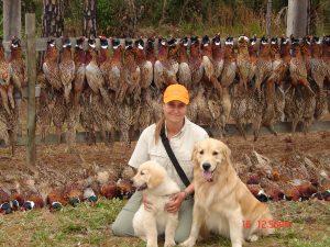Cashmere Golden Retrievers