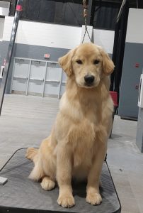 6 Months Getting Groomed