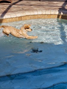 Loving my Swimming 3.5 Months