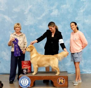 Specialty Winners Bitch
& 
Best Puppy