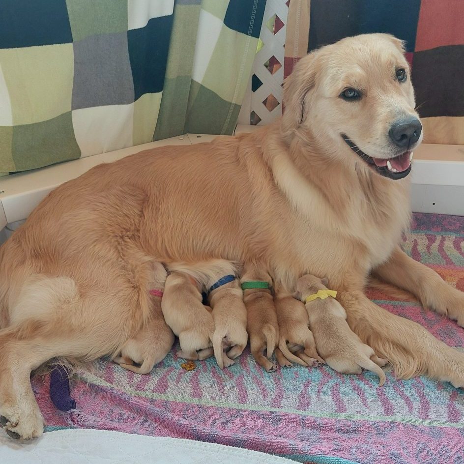 Proud Mama